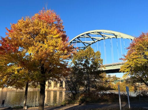 Pittsburgh autumn trees near Birmingham Bridge can contribute to fall eye allergies.