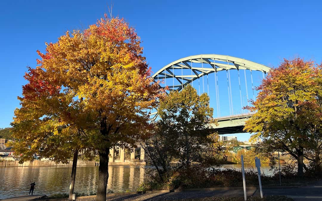 Pittsburgh autumn trees near Birmingham Bridge can contribute to fall eye allergies.