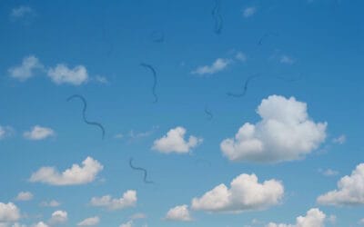 Looking at cloudy sky in Pittsburgh with eye floaters.