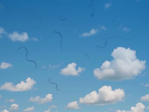 Looking at cloudy sky in Pittsburgh with eye floaters.