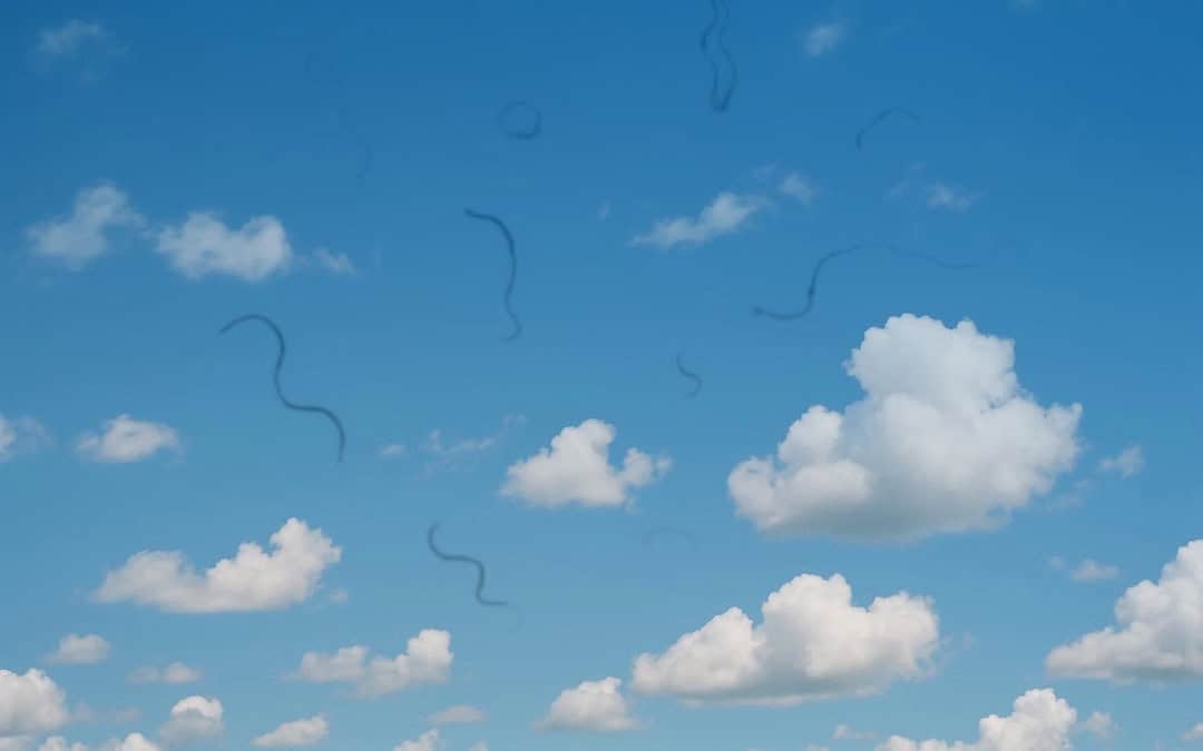 pittsburgh-sky-eye-floaters Looking at cloudy sky in Pittsburgh with eye floaters.